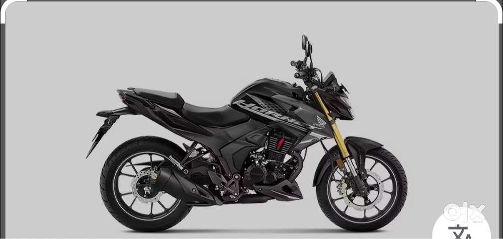 Hornet 2.0 second owner