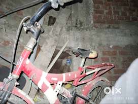 Atlas cycle
