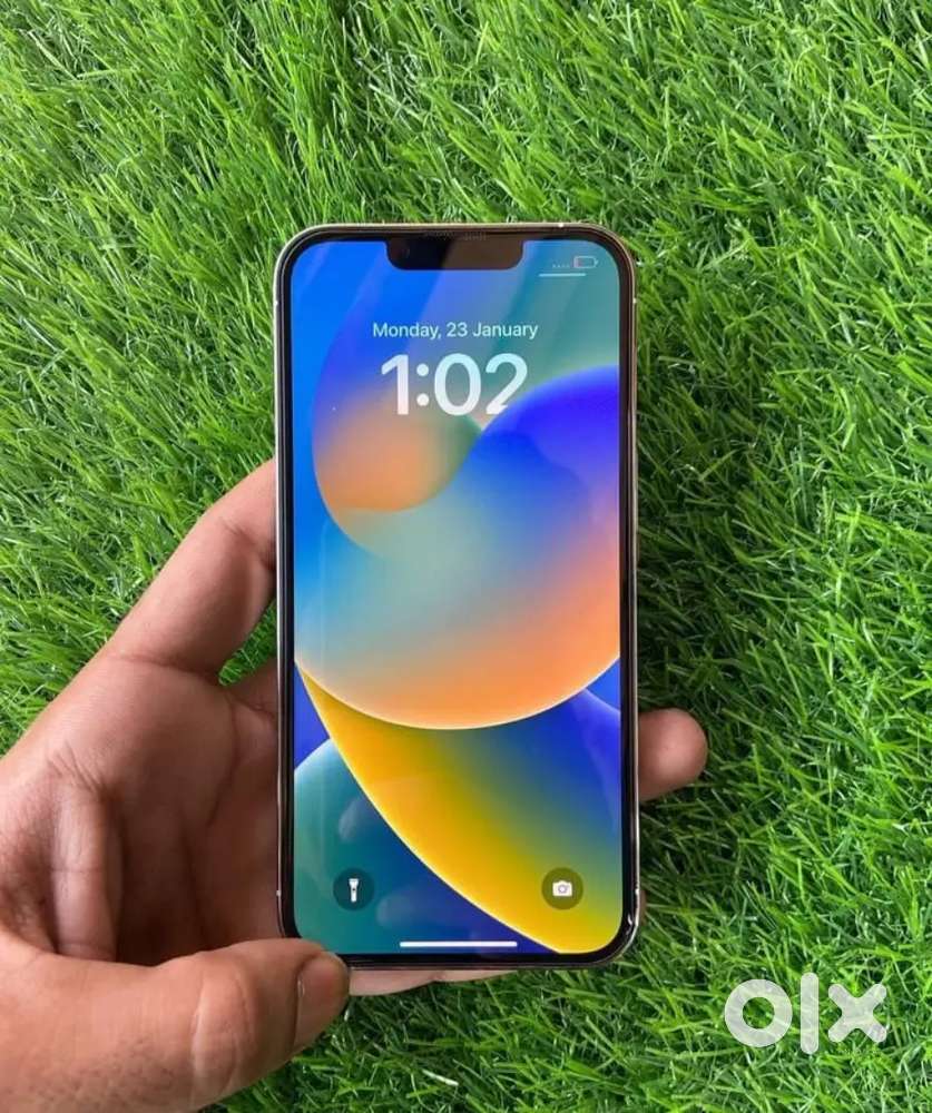 iPhone 13 pro without any issue proper working