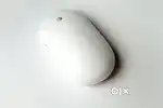 Genuine Apple Mouse