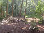 Land for sale direct from owner in kadri
