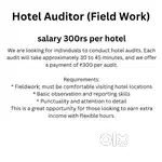 Hotel Auditor