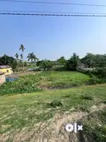 Location- Bijuli . Khotalghupa nalbari