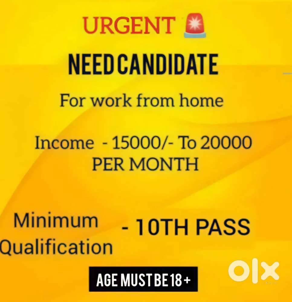 PART TIME / FULL TIME - WORK FROM HOME ( TIME FLEXIBLE)