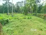 Property for sale at Adoor