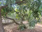 Eco park badlapur gaon west