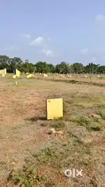 Open Plots in nunna near to resorts and houses