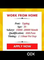 Work for home