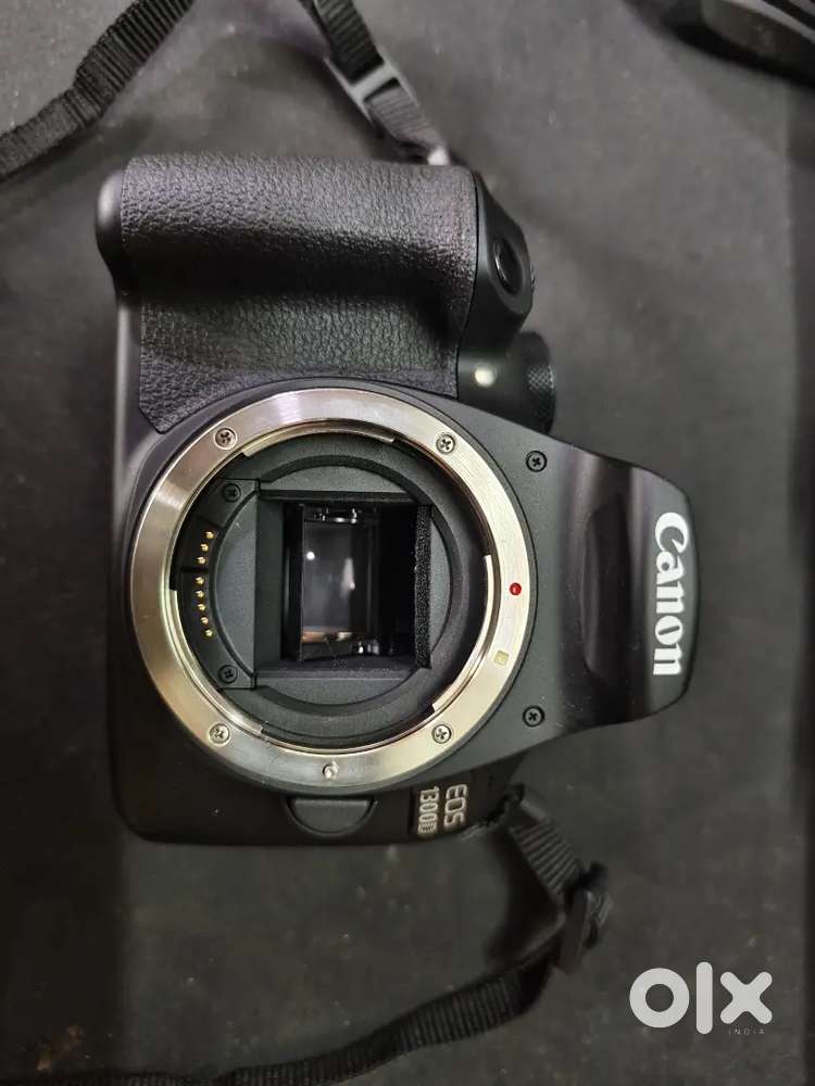 Canon EOS1300D Scratchless Condition