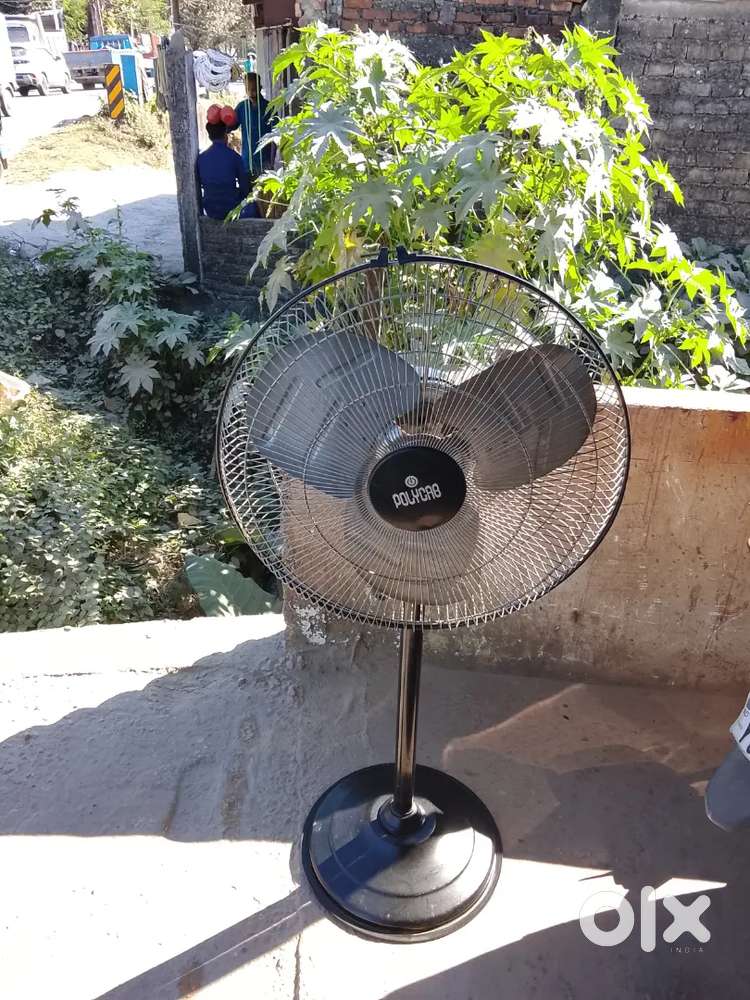 Stand fan polycab