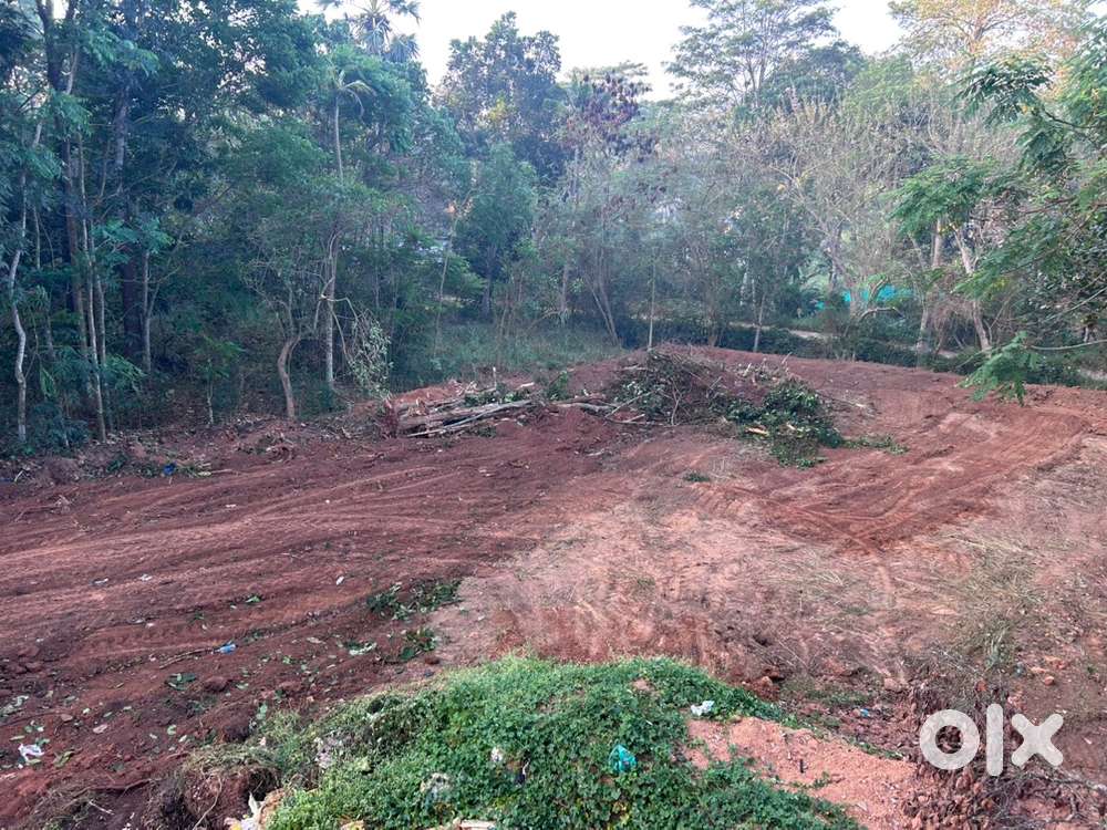 Main road side Kaliyal junction