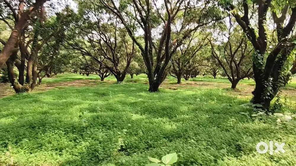 आप अगर खेती वाले जमीन खरीदना चाहते हैं तो सपना पूरा हो सकता है