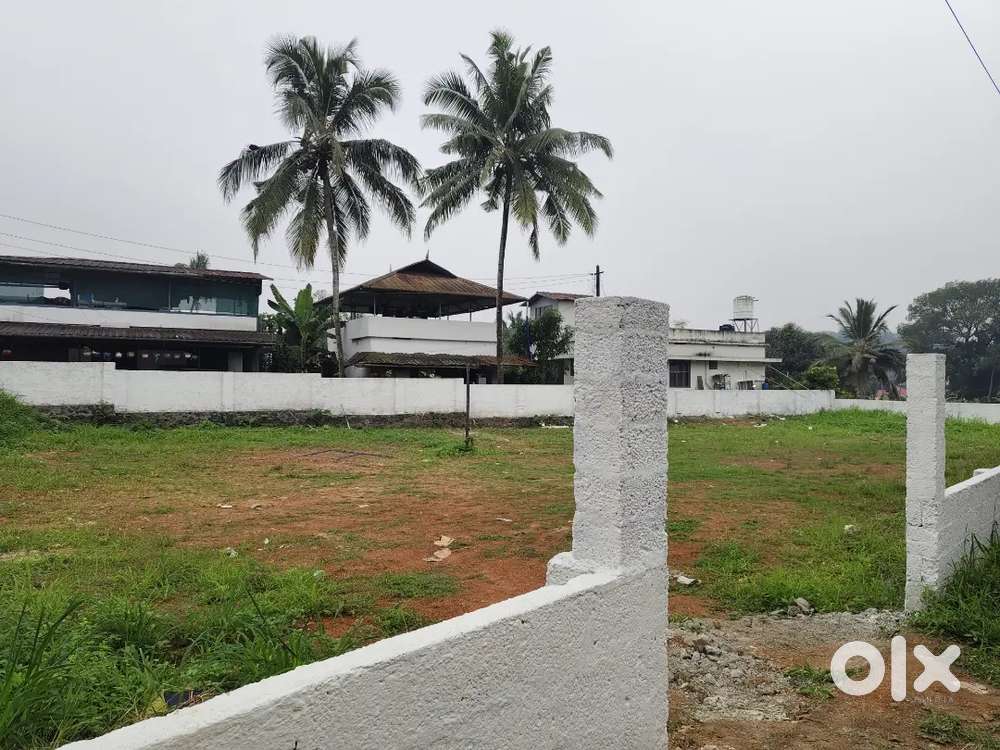 4,5,6 cnt plot Kakkanad Kangarappady busroot  nr 10 pr cnt Negotiable
