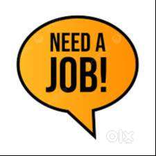 job needed