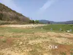 (Investment/Home) Myadi HINDU land(No Broker)