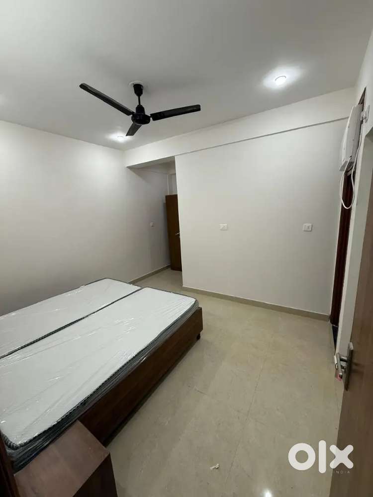 Affordable PG in sector-18