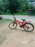 Gang company, model name - mutane , 4 years old cycle