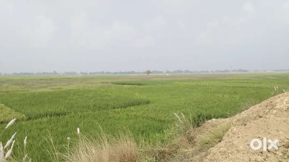 Gorakhpur ka sabse sasta plot