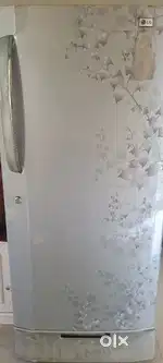 LG fridge 10 years old