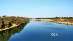 River Front individual farm house plot
