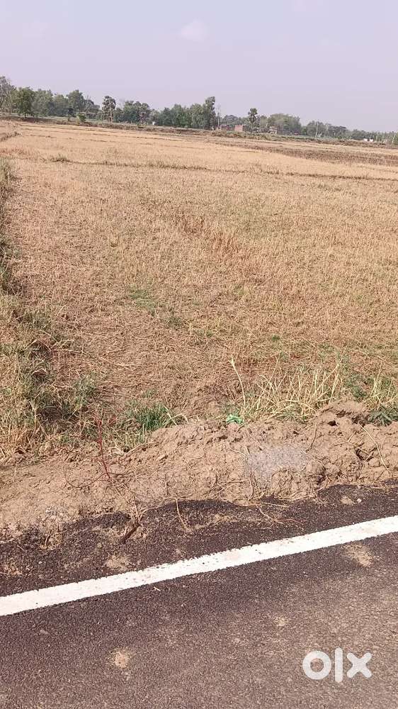 Arjent sale on road jamin 1.5 lakh par dismil badwan Hi school ke pass