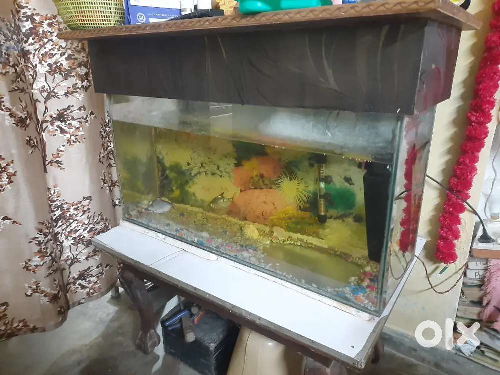 Fish aquarium tank with wooden cover