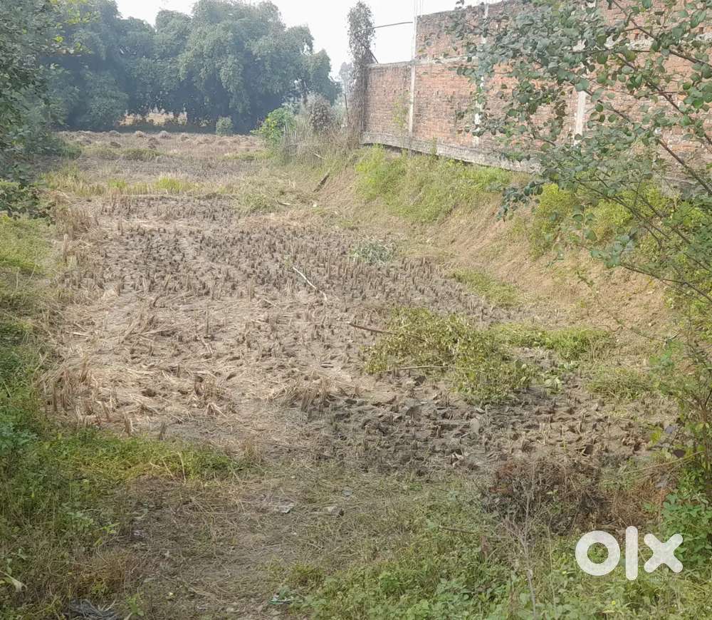 Salkhan Highway road se 1 km andr hai only for home making purpose