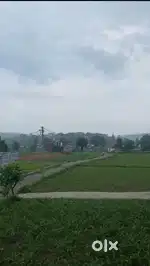 6 bigha jameen bikau he तिलवाड़ी bhauwala dehradun