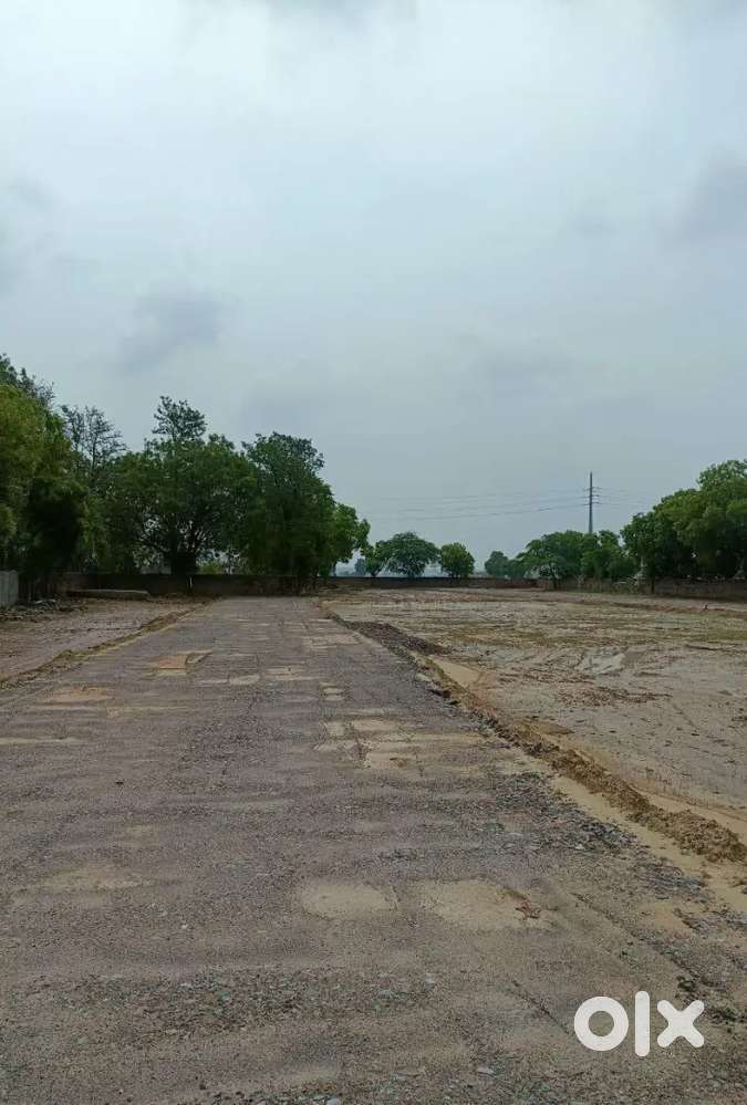Tauru road 1000 Gaj Farmhouse sale