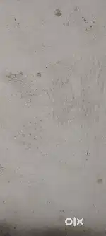 Rental house