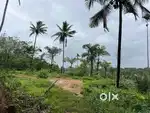 60 CENT HOUSE PLOT FOR SALE IN MANANTHAVADY