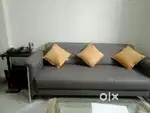 Spacious 1 BHK flat for Rent