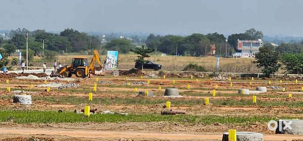 Governament Approval