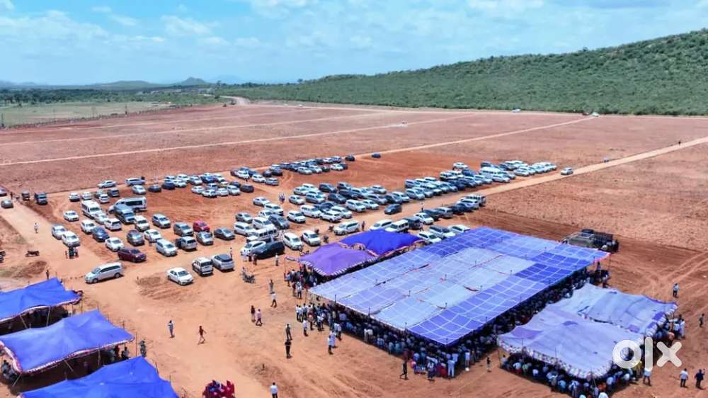 Plot with red sandel plantation