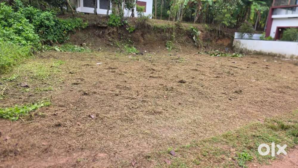 5 cent near vellanad up school only 400 meter from  main road