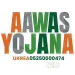 Business Development Executive