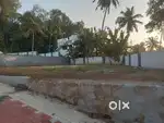 Plot near sreekariyam 7 cent 11 lakhs