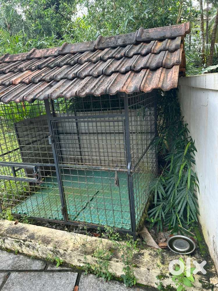 Large iron dog cage / kennel