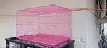 24×18 16nos birds cages available