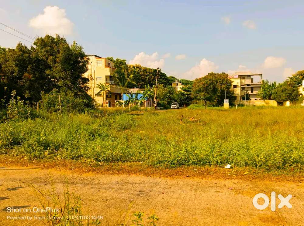 Opp. Narayana Medical College,DTCP approved,corp limits,ready to build