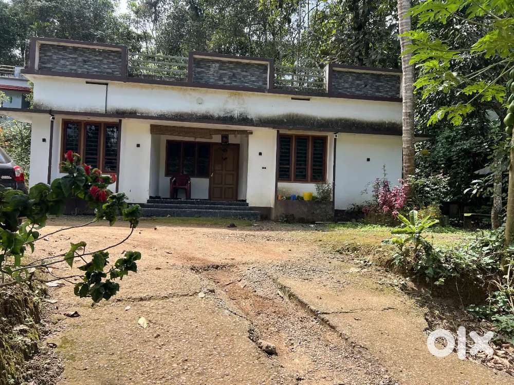 6.5 CENT LAND WITH HOUSE FOR SALE IN MANANTHAVADY