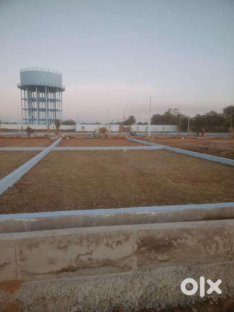 प्लाट ही प्लाट