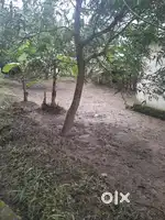 8Cent Land for sale. Near NM Jn, Panangad, kochi