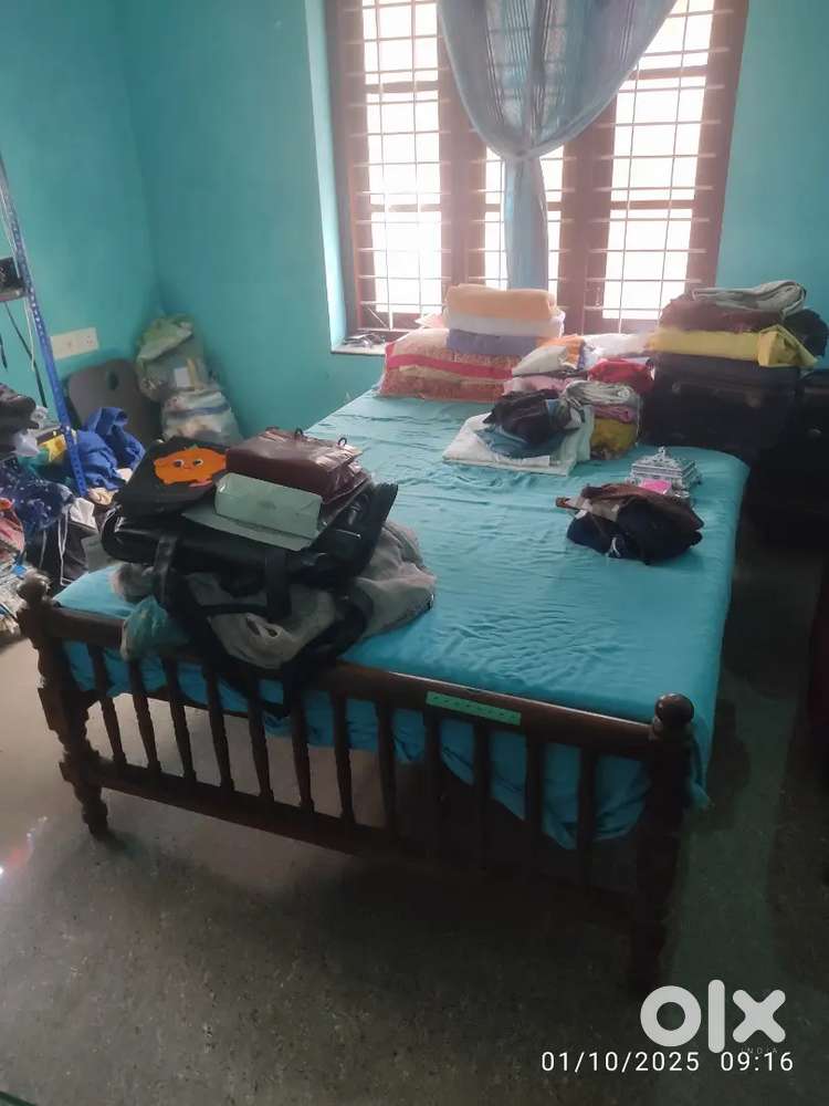 Single and double bed cots