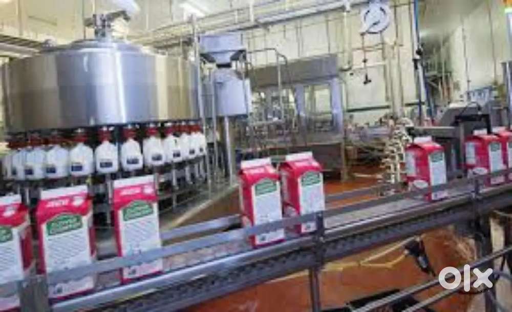 Wanted male/female  packing helpers [ night shift. /day shift  ]