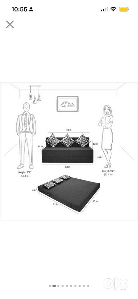 Sofa Cum Bed