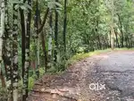 Property for sale at Engapuzha