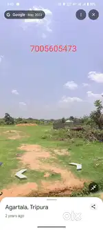 Aralia , ONGC math