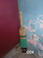 Cricket bat onths old