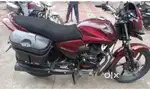 Shine 125 cc